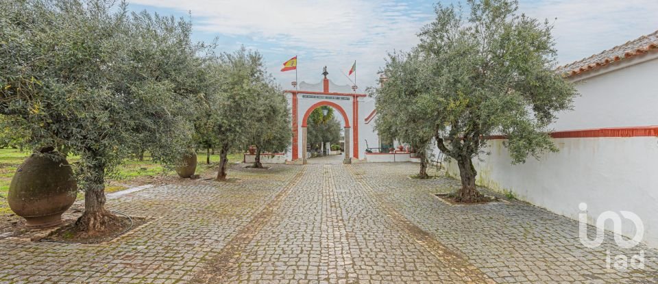 Quinta T6 em São Brás e São Lourenço de 366 m²