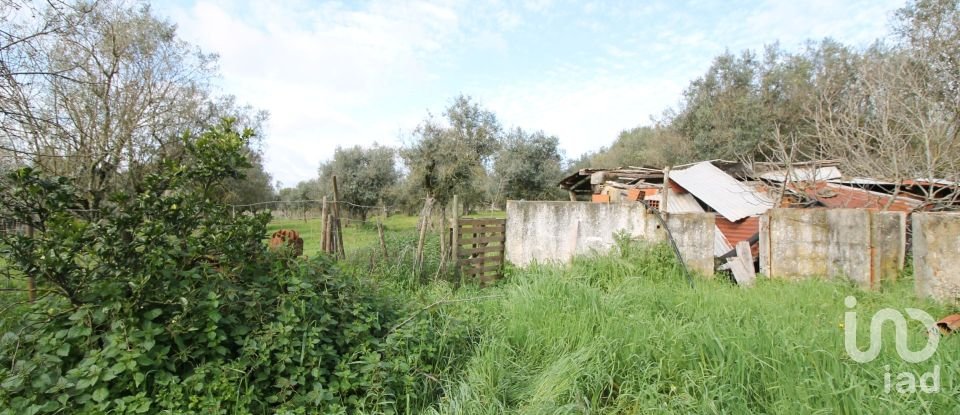 Ferme T4 à Arcos de 204 m²