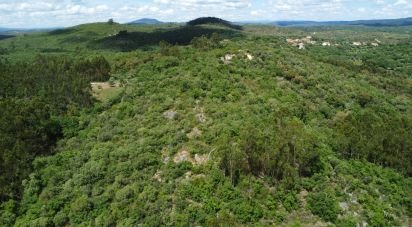 Land in Chãos of 15,040 m²