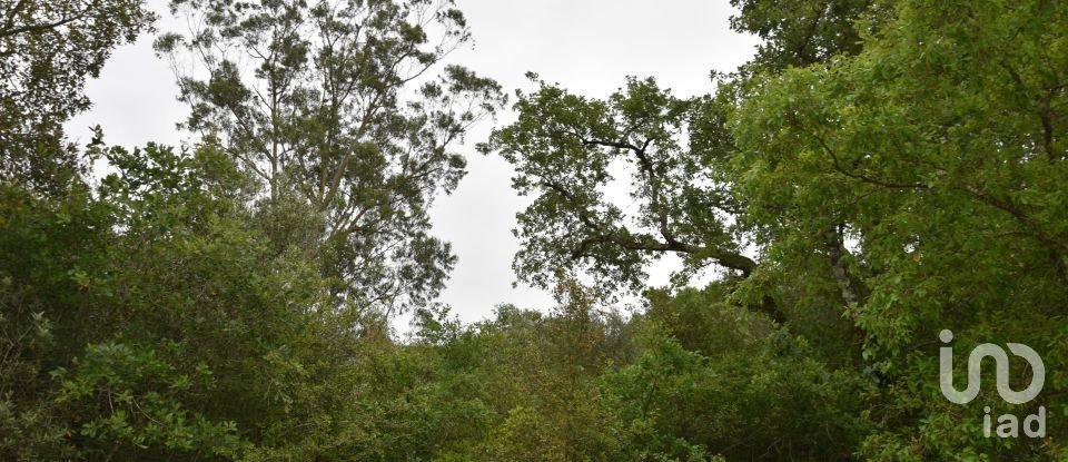 Maison T0 à Chãos de 87 m²