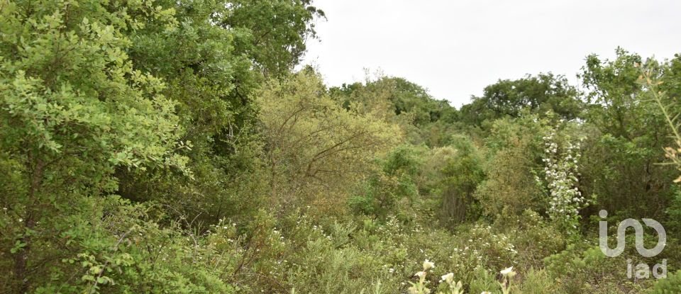 Maison T0 à Chãos de 87 m²