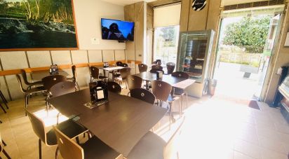Bakery in Paredes de Coura e Resende of 100 m²