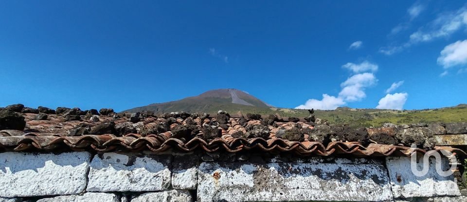 Maison T0 à São Caetano de 254 m²