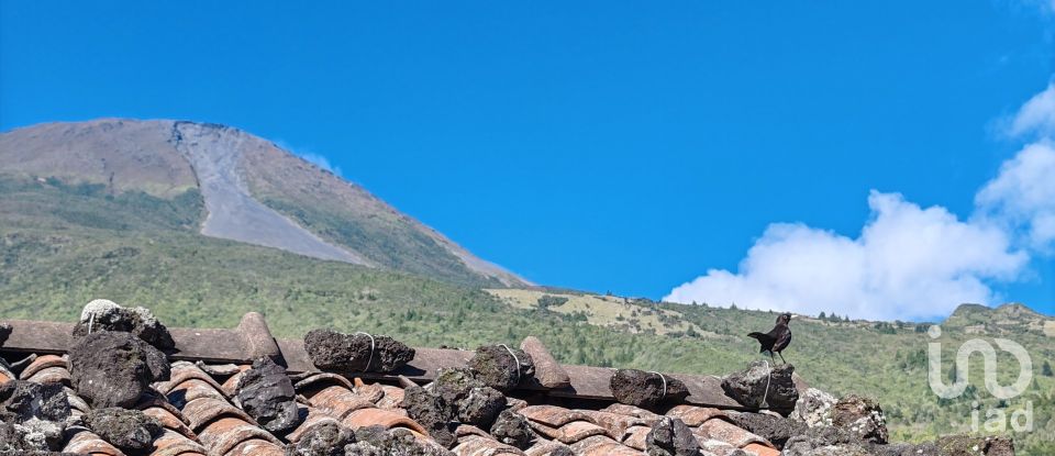 Maison T0 à São Caetano de 254 m²