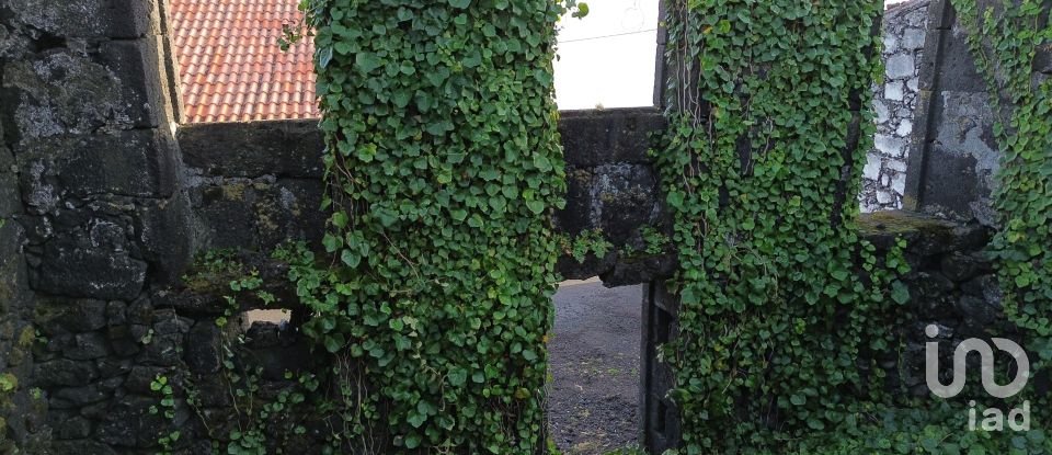 Maison T0 à São Caetano de 254 m²