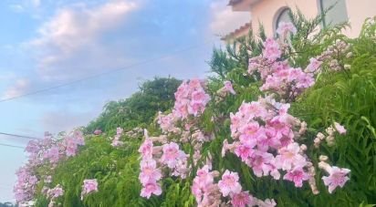 Maison traditionnelle T4 à Serra d'El-Rei de 179 m²