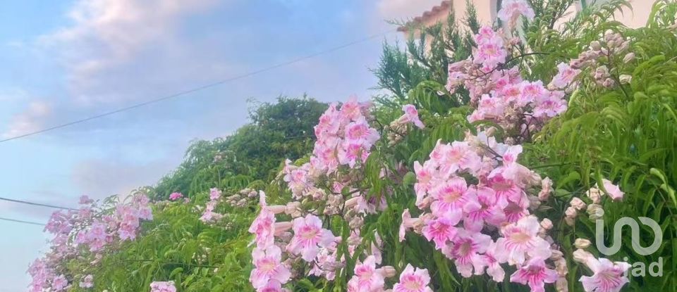 Maison traditionnelle T4 à Serra d'El-Rei de 179 m²