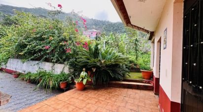 Maison de village T7 à Arco de São Jorge de 159 m²