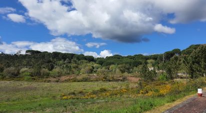 Terrain à Nossa Senhora da Piedade de 967 m²