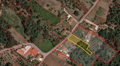 Terrain à Pedreiras de 1 660 m²