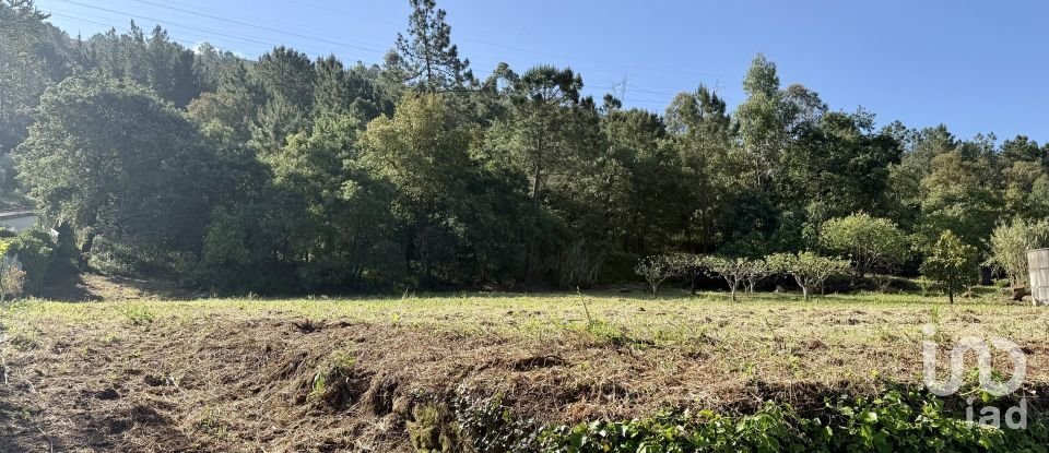 Terrain à Pedreiras de 1 660 m²