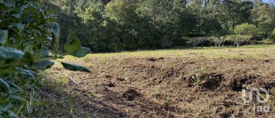 Terrain à Pedreiras de 1 660 m²