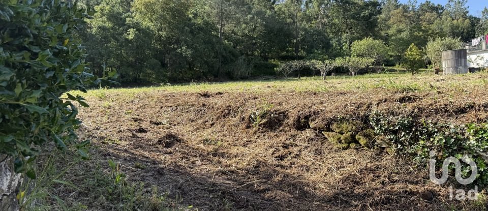 Terrain à Pedreiras de 1 660 m²