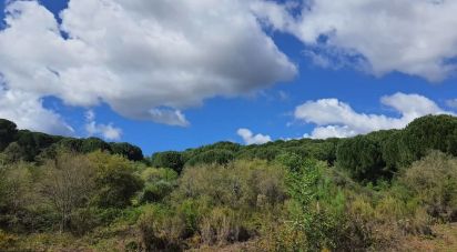 Terrain à Nossa Senhora da Piedade de 1 052 m²