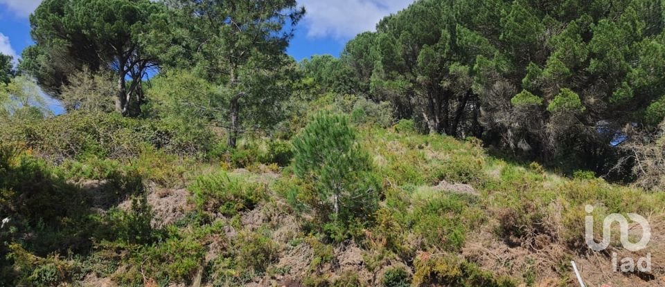 Terreno em Nossa Senhora da Piedade de 1 052 m²