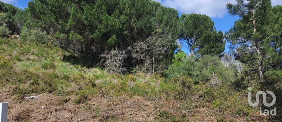 Terreno em Nossa Senhora da Piedade de 936 m²