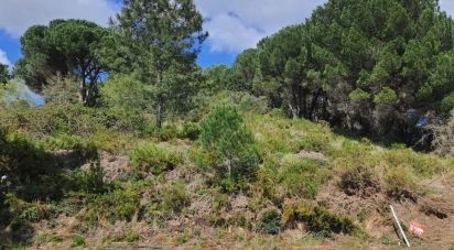 Terrain à Nossa Senhora da Piedade de 672 m²