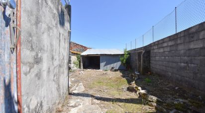 Traditional house T3 in São Miguel, Santa Eufémia e Rabaçal of 272 m²