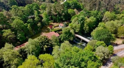 House T4 in Covas of 360 m²