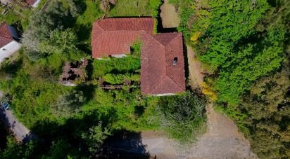 House T4 in Covas of 360 m²