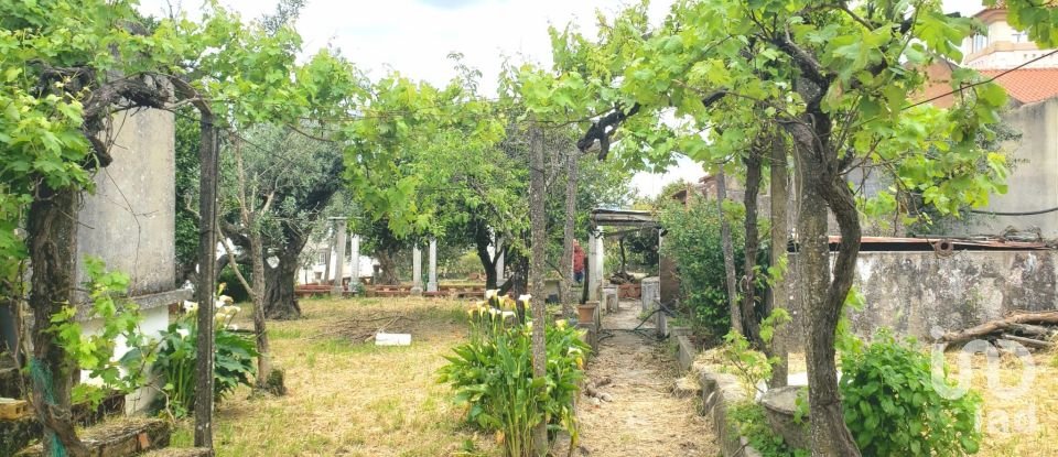 Building plot in Cardigos of 1,110 m²