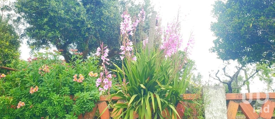 Building plot in Cardigos of 1,110 m²