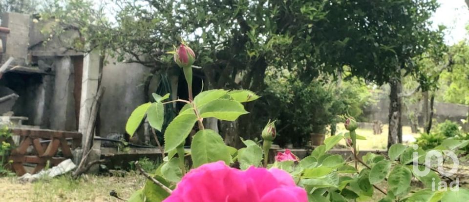 Building plot in Cardigos of 1,110 m²