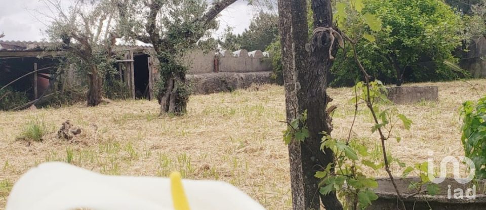 Building plot in Cardigos of 1,110 m²