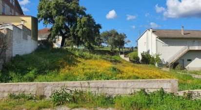 Building plot in Castelo Branco of 1,185 m²