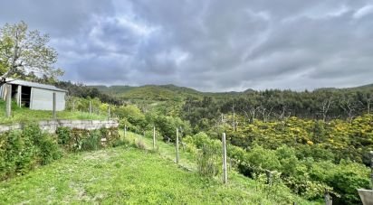 Maison T2 à Cambra e Carvalhal de Vermilhas de 105 m²