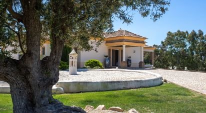 House T5 in Porches of 317 m²