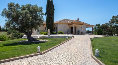 House T5 in Porches of 317 m²