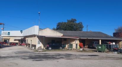 Terrain à Benedita de 1 248 m²