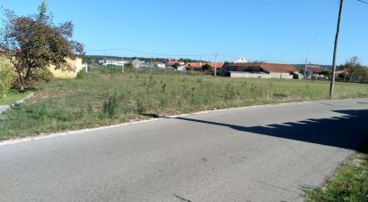 Terrain à bâtir à Monte Redondo e Carreira de 2 300 m²