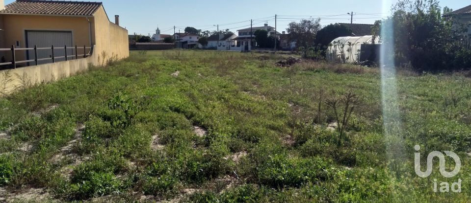 Terrain à bâtir à Monte Redondo e Carreira de 2 300 m²