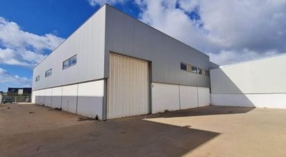 Pavillon T0 à Estômbar e Parchal de 1 050 m²