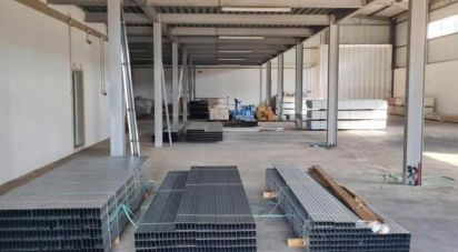 Pavillon T0 à Estômbar e Parchal de 1 050 m²