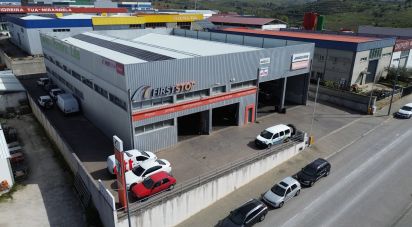 Pavilion T0 in Mirandela of 2,123 m²