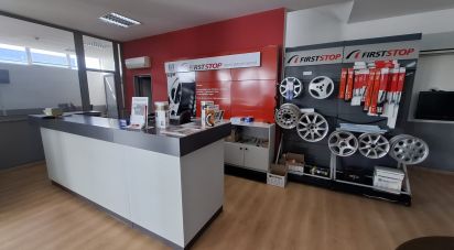 Pavilion T0 in Mirandela of 2,123 m²