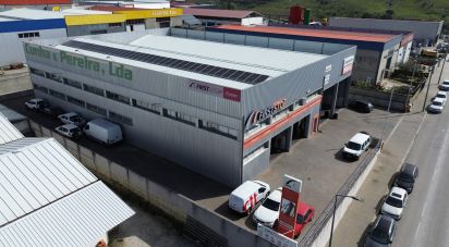 Pavilion T0 in Mirandela of 2,123 m²