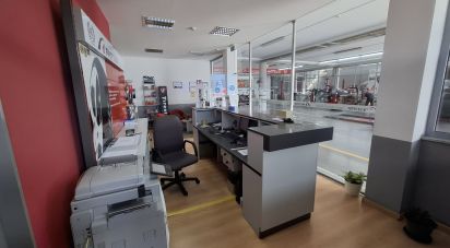 Pavilion T0 in Mirandela of 2,123 m²