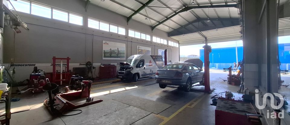 Pavilion T0 in Mirandela of 2,123 m²