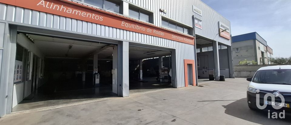 Pavilion T0 in Mirandela of 2,123 m²