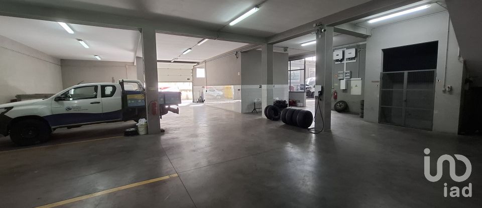 Pavilion T0 in Mirandela of 2,123 m²