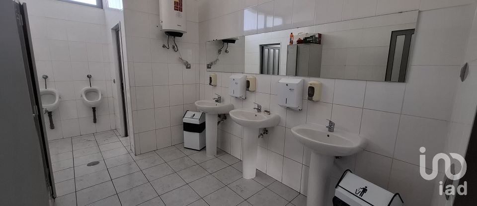 Pavilion T0 in Mirandela of 2,123 m²