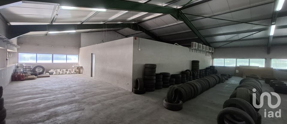 Pavilion T0 in Mirandela of 2,123 m²