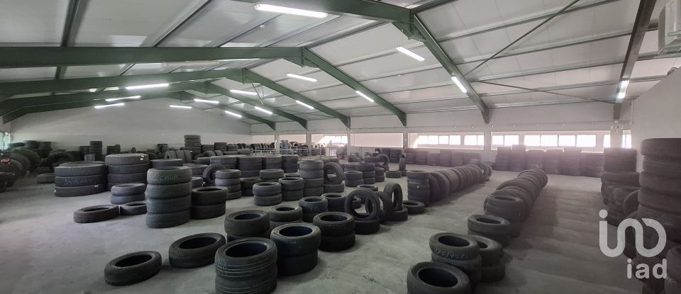 Pavilion T0 in Mirandela of 2,123 m²