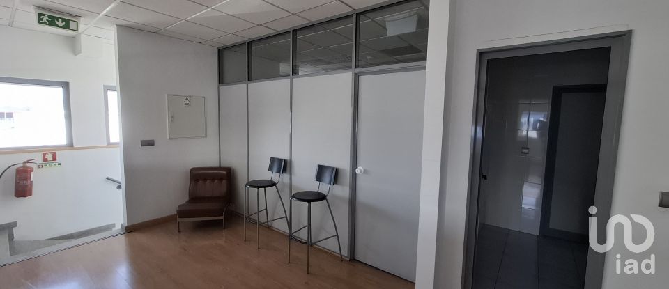 Pavilion T0 in Mirandela of 2,123 m²