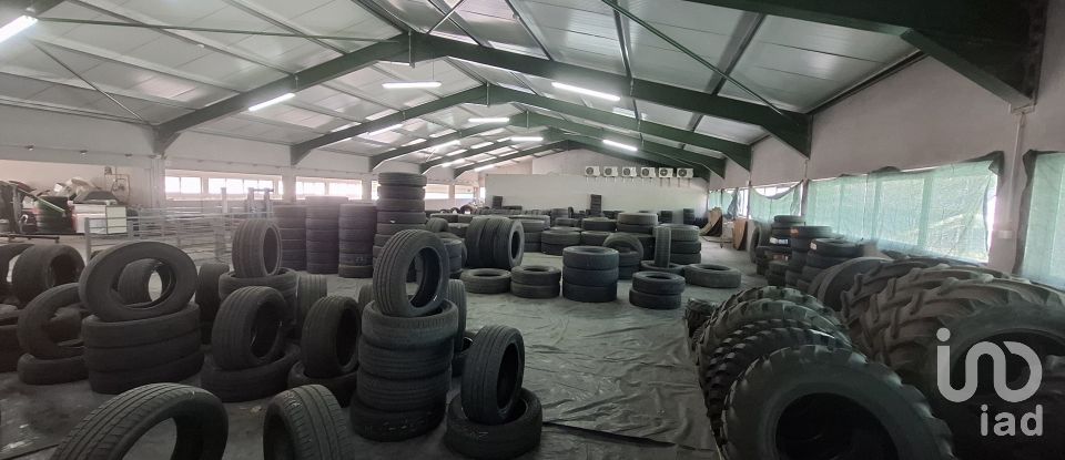 Pavilion T0 in Mirandela of 2,123 m²