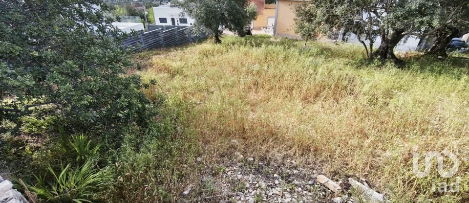 Terrain à bâtir à São Brás de Alportel de 659 m²